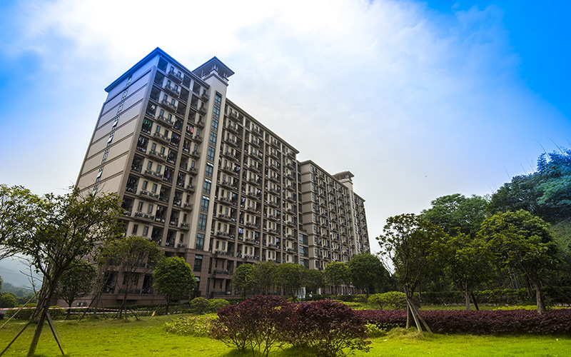 重庆护理职业学院对口单招